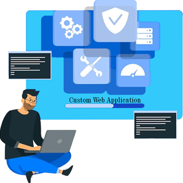 Custom web application development-acemero